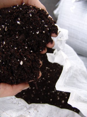 Potting Soil